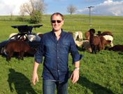 Arbeit an einem Buchprojekt, Alpenvorland